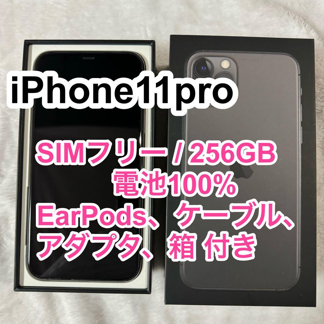 iPhone11pro, Space Gray, 256GB EarPods付