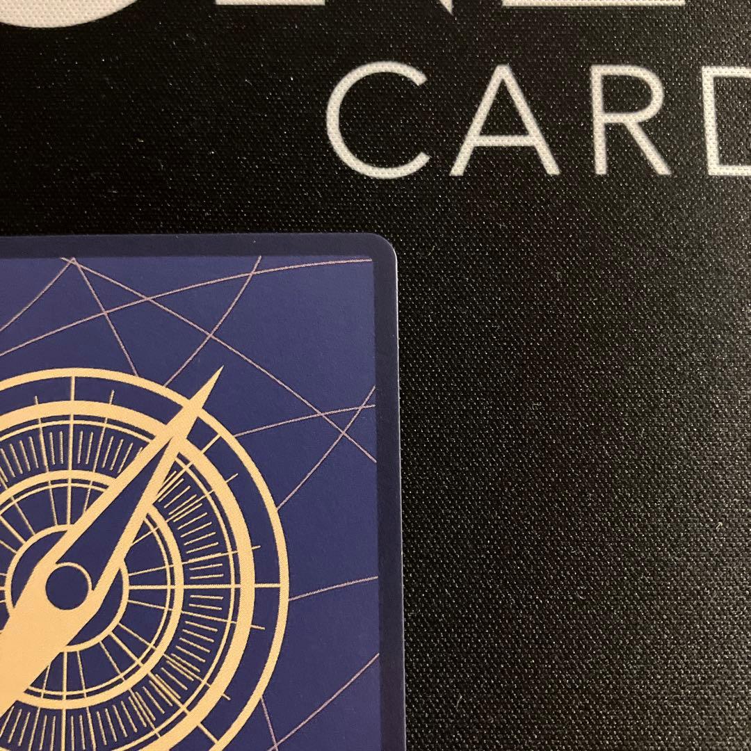 ルフィ　手配書　受け継がれる意思