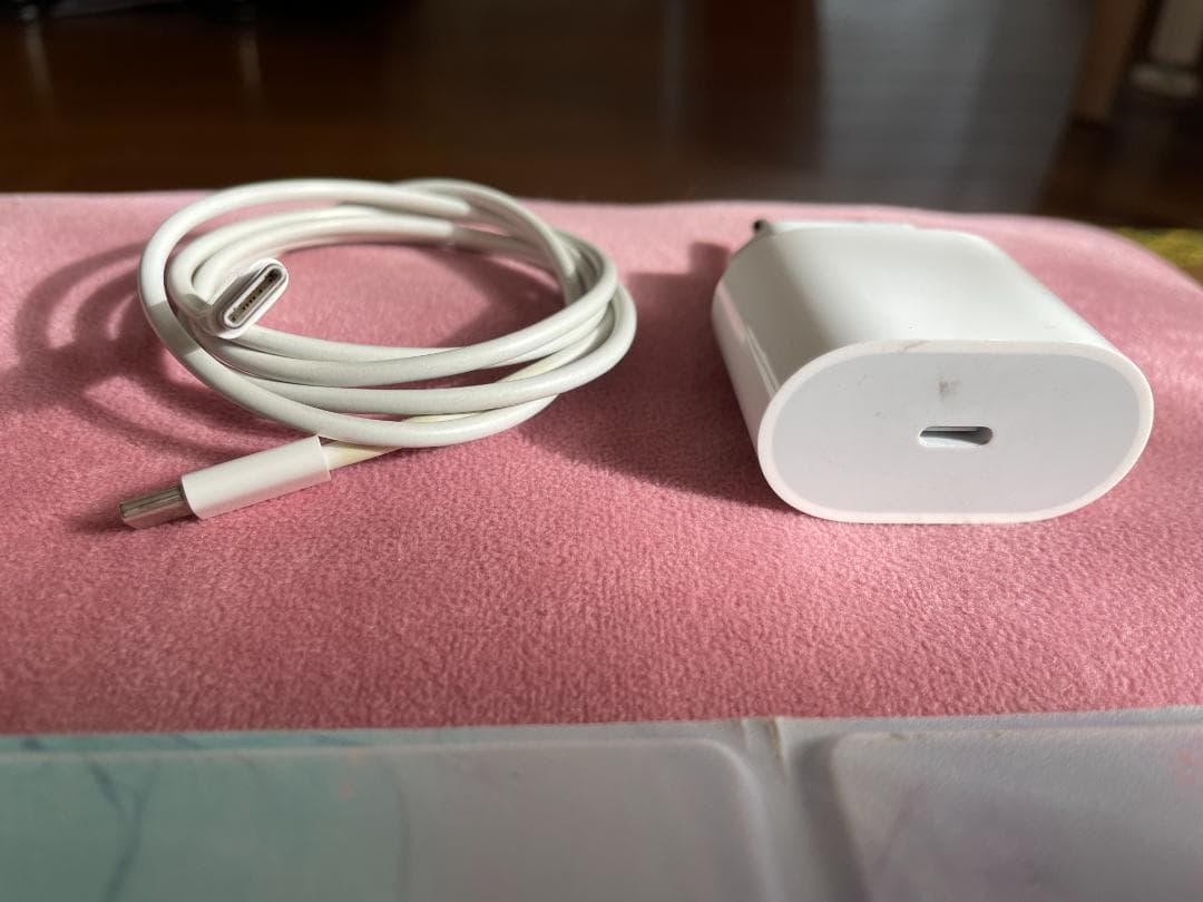 【極美品】Apple iPad Air4 256GB + Pen【4点セット】