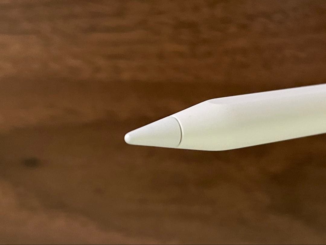 iPad Pro(第2世代)256GB 11インチ　フルセット+おまけケース