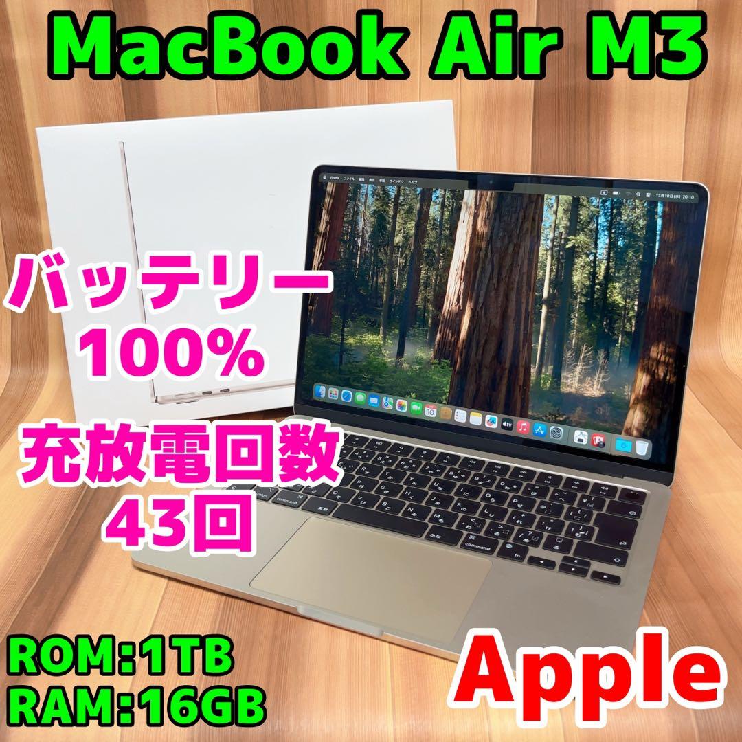 MacBook本体 Apple MacBook Air M3 2024 1TB 16GB 405A