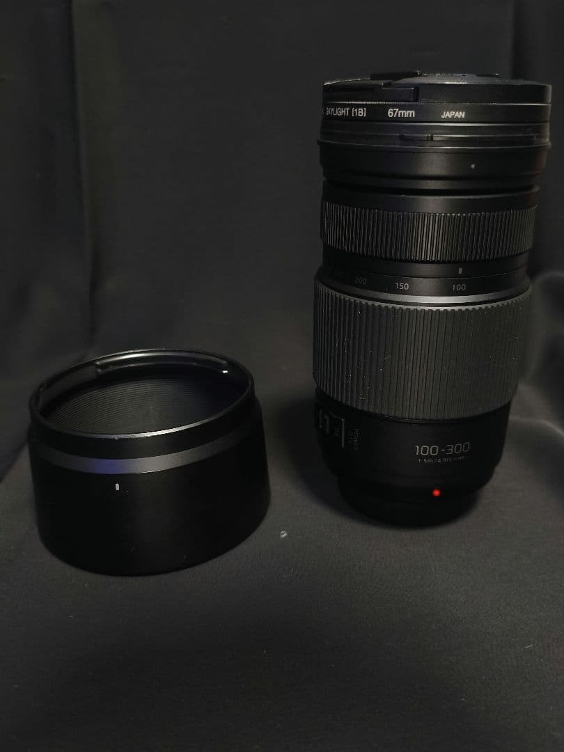 レンズ(ズーム) LUMIX G VARIO 100-300mm F4.0-5.6 ii