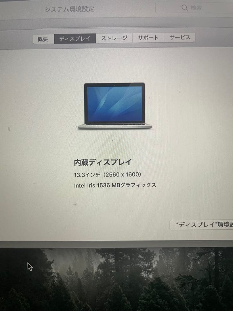 MacBook本体 MacBook Pro (Retina, 13-inch, Late 2013)