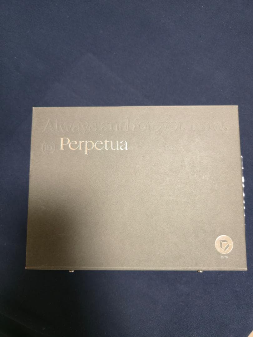 超美品　DITA Perpetua 10周年記念　有線イヤホン