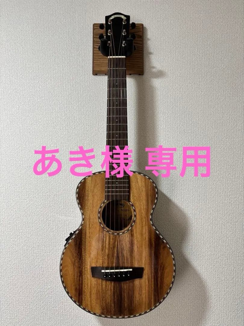 Headway HT-BEETLE NA アコースティックギター 生産終了品