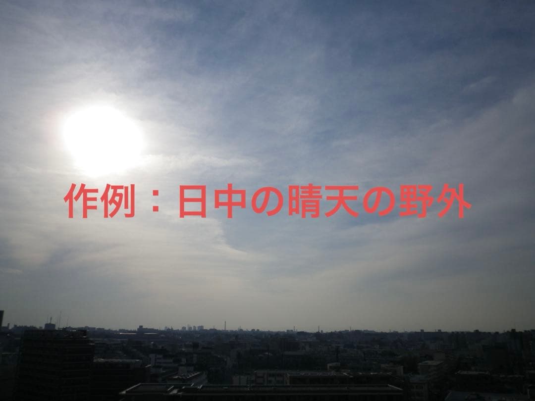 【動作確認済】PENTAX ペンタックス Optio H90 レトロコンデジ 白