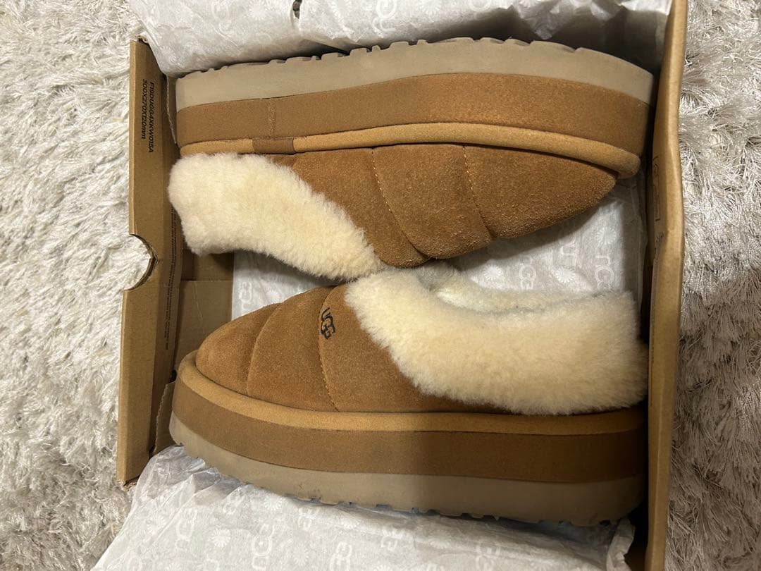 れ*い様 UGG ブーツ スリッポン tazzlita 25cm