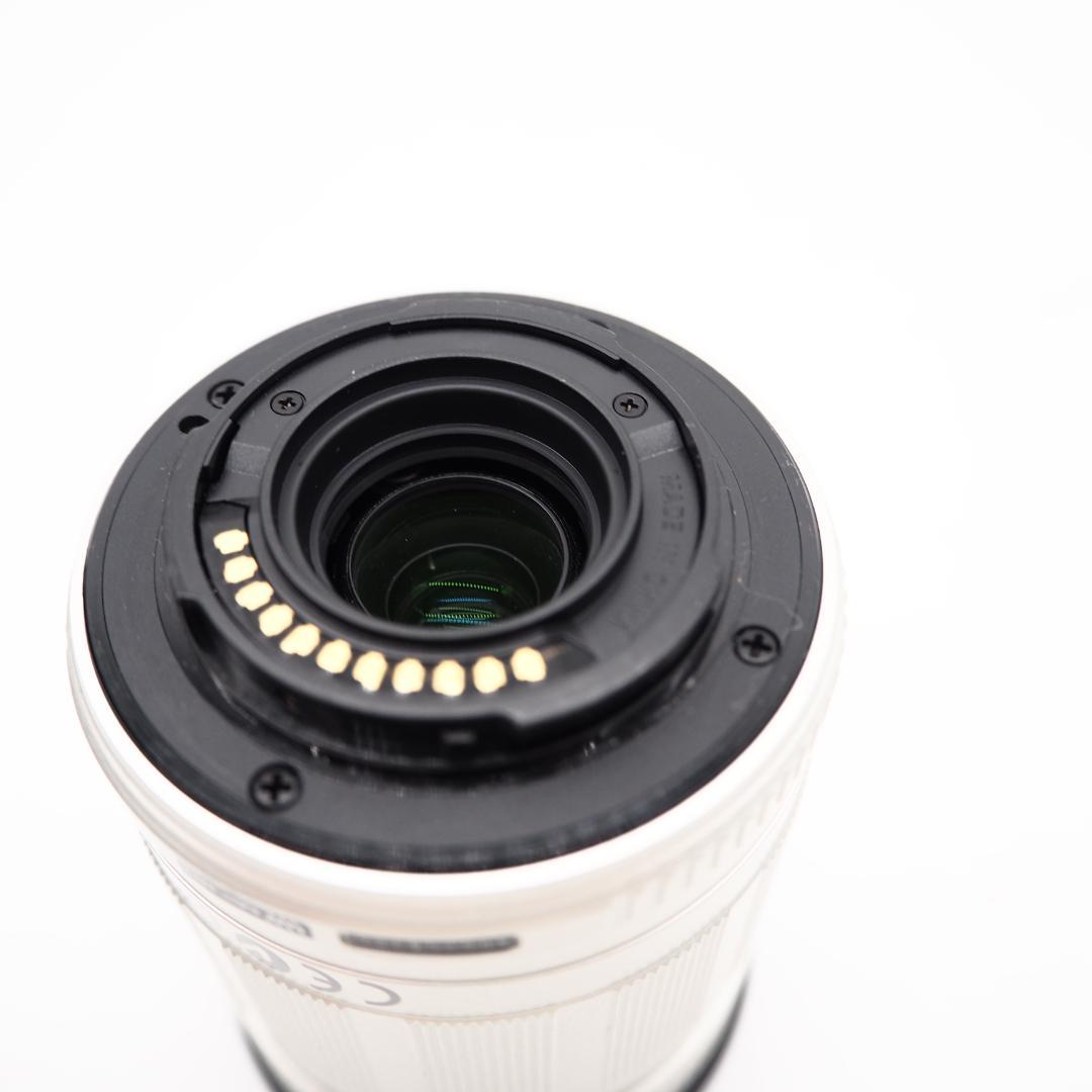 OLYMPUS M.ZUIKO 40-150mm F4-5.6 ED MSC⑤