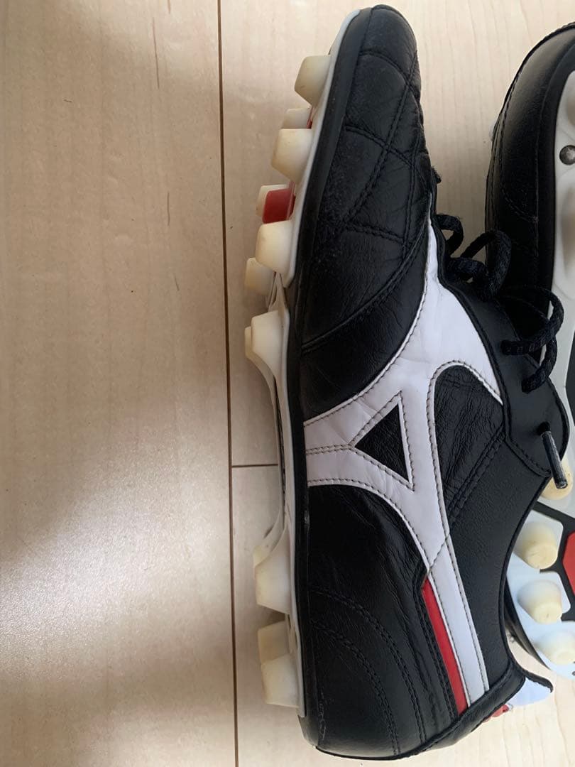 モレリア 2 クロスステッチ26cm