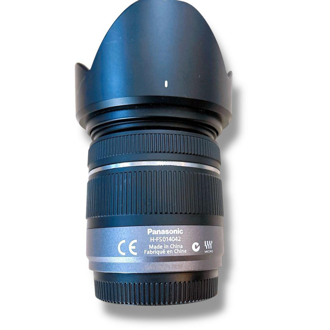 Panasonic LUMIX DMC-G3 レンズ2本セット フラッシュ付