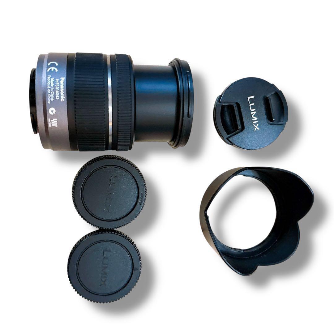 Panasonic LUMIX DMC-G3 レンズ2本セット フラッシュ付