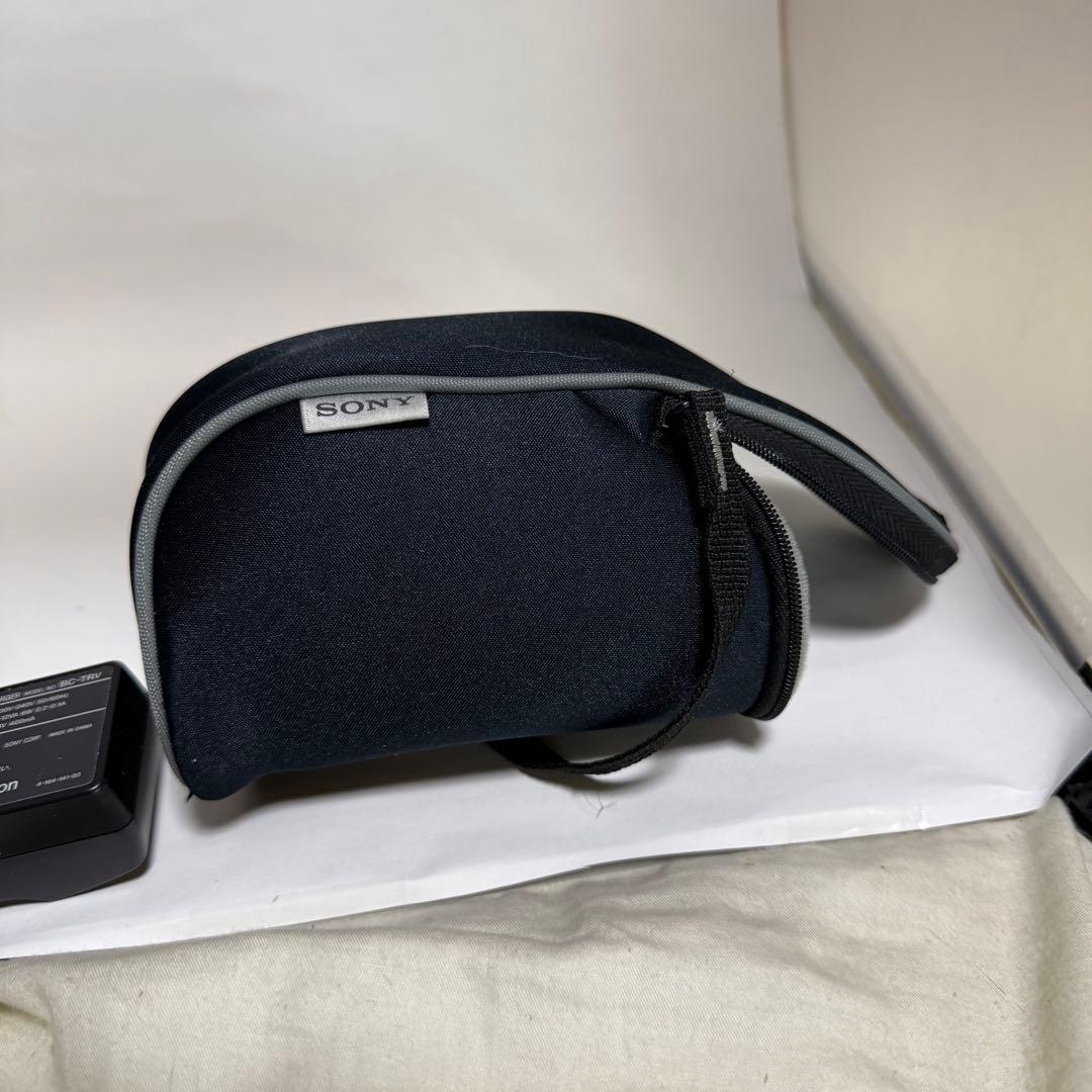 SONY HDR-CX590V ビデオカメラ 一式セット GPS搭載