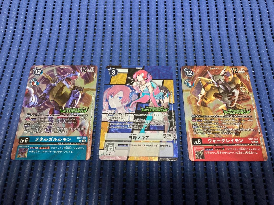 白峰ノキア エボカ