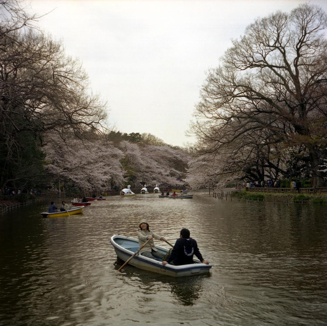 Rolleicord V 二眼レフカメラ