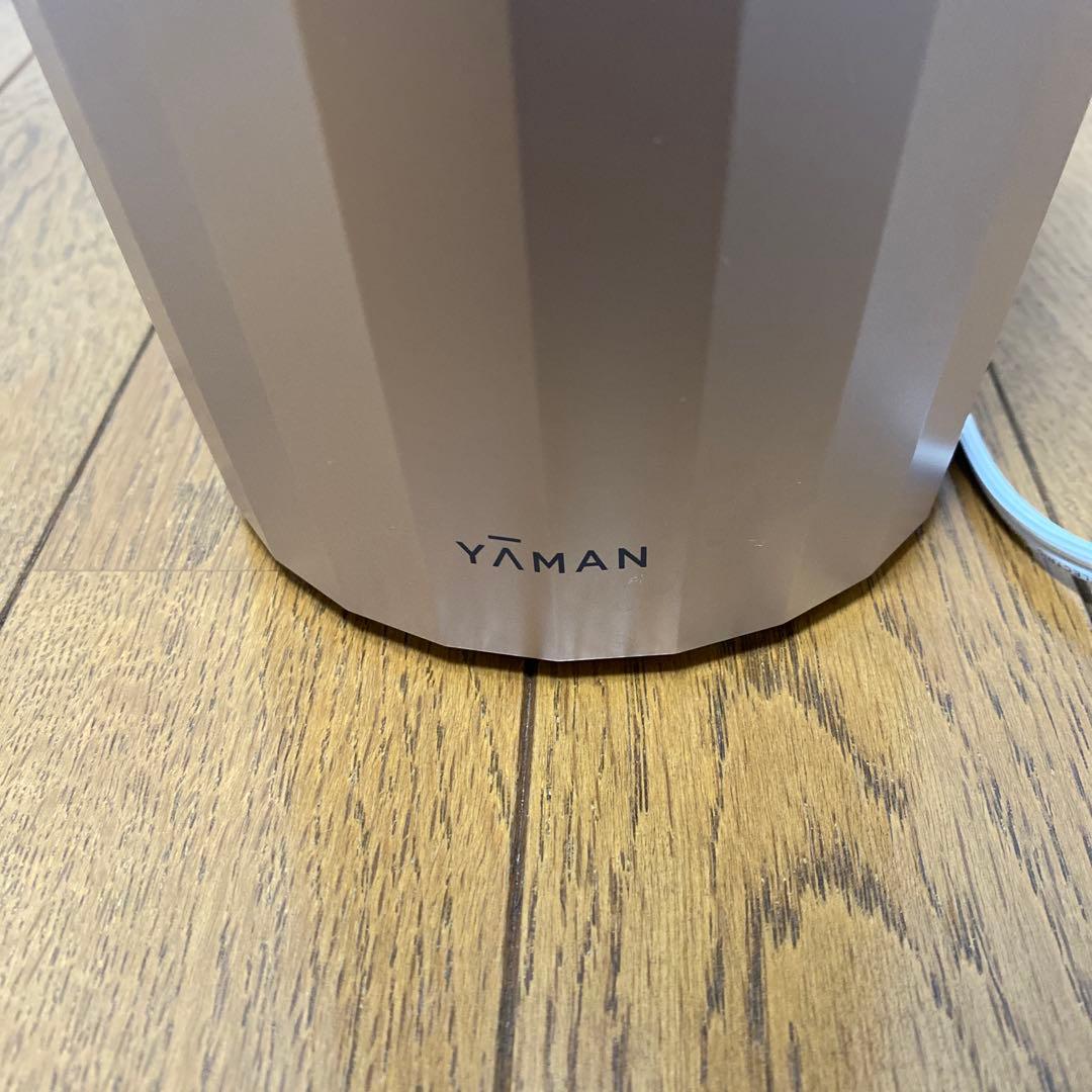 フォトスチーマー　W温スチーム×冷ミスト×LED】LEDスチーム美顔器