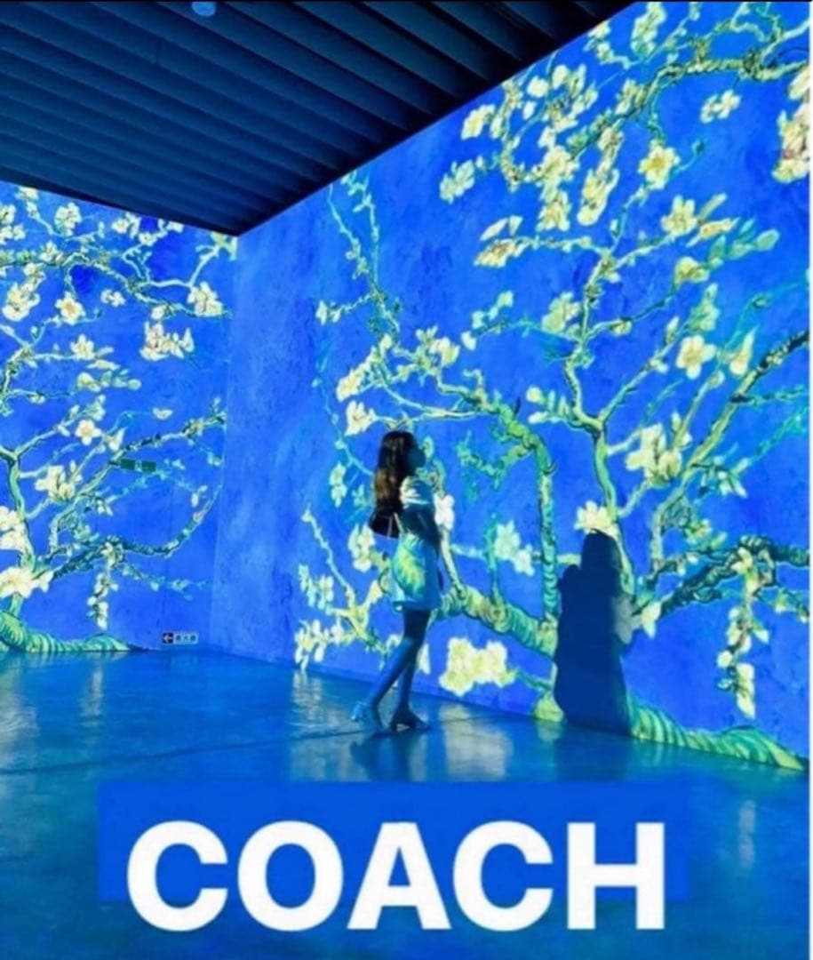 COACH 長財布シグネチャー.デニムジャガードストライブ.ブルー男女兼用.新品