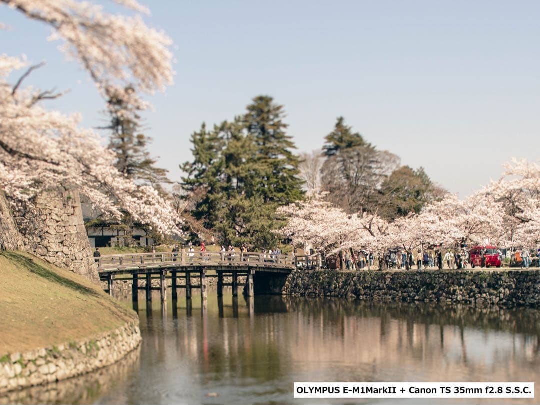 フィルムカメラ Canon TS 35mmf2.8 S.S.C.