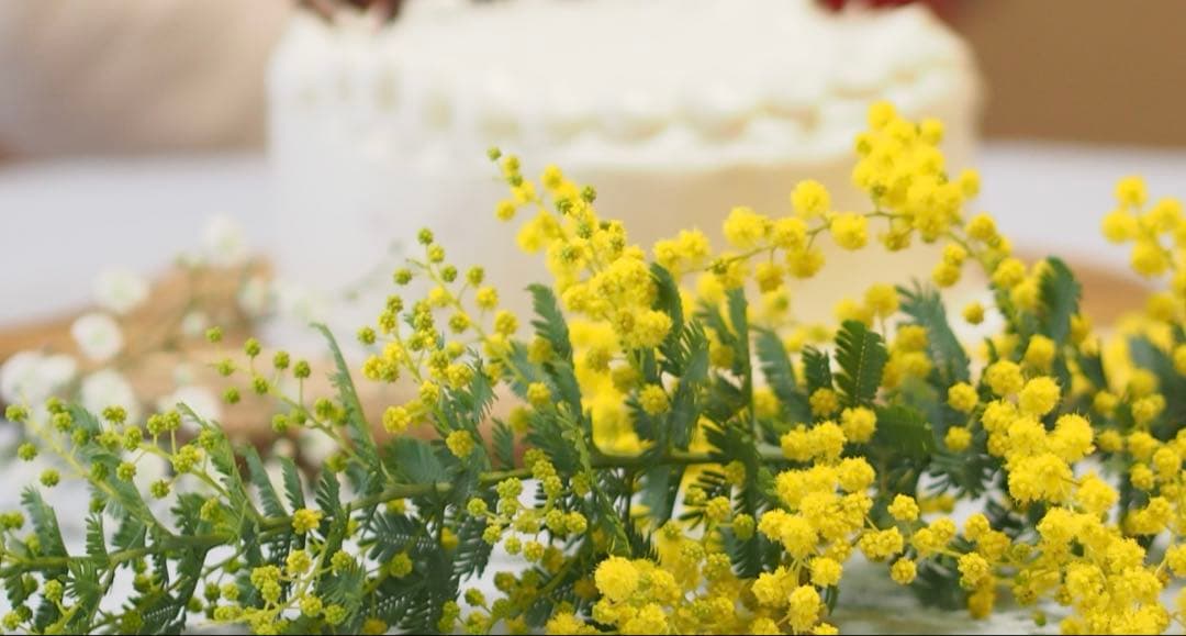 OLYMPUS 単焦点レンズ　M.ZUIKO DIGITAL 45mm F1.8