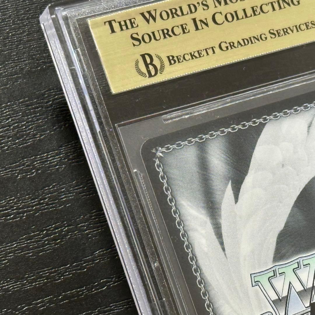 WS ラフィー sp BGS10 PRISTINE