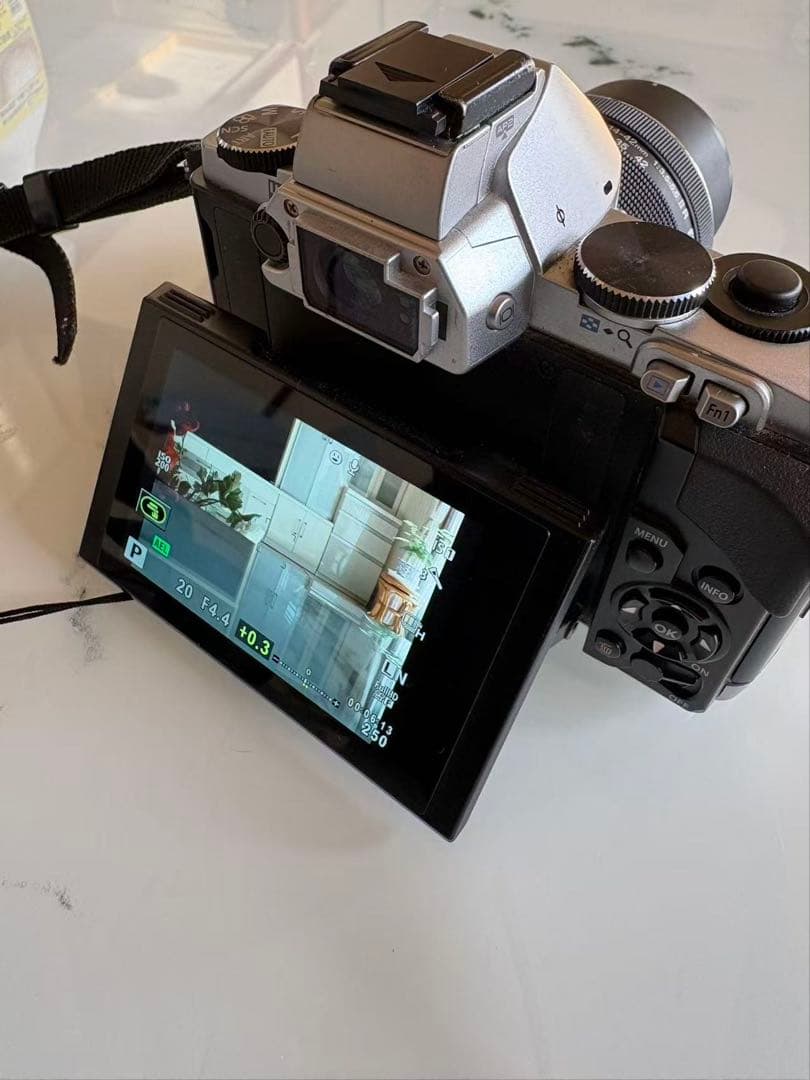 【美品】ミラーレス一眼 OLYMPUS OM-D E-M5