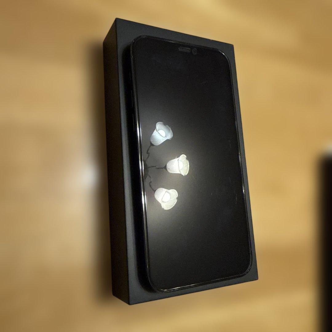 iPhone 12 Pro パシフィックブルー　256GB