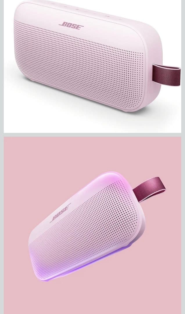 Bose SoundLink Flex 2 +JBL WAVE Bud2 セット