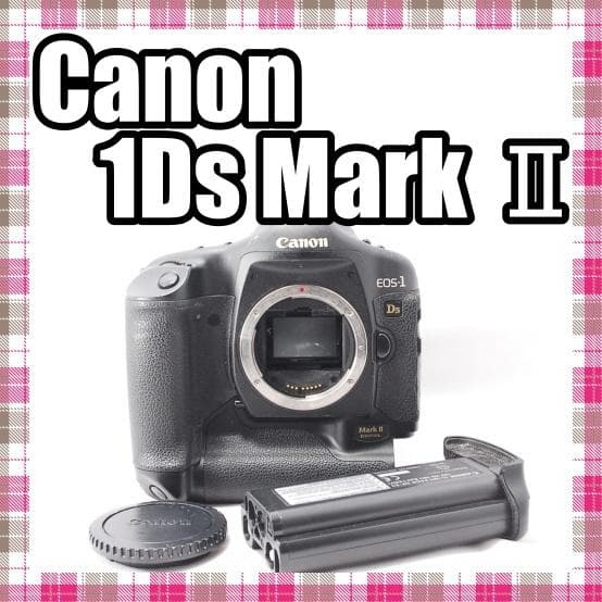 ✨お買い得価格✨状態並✨Canon EOS-1Ds Mark Ⅱ ボディ