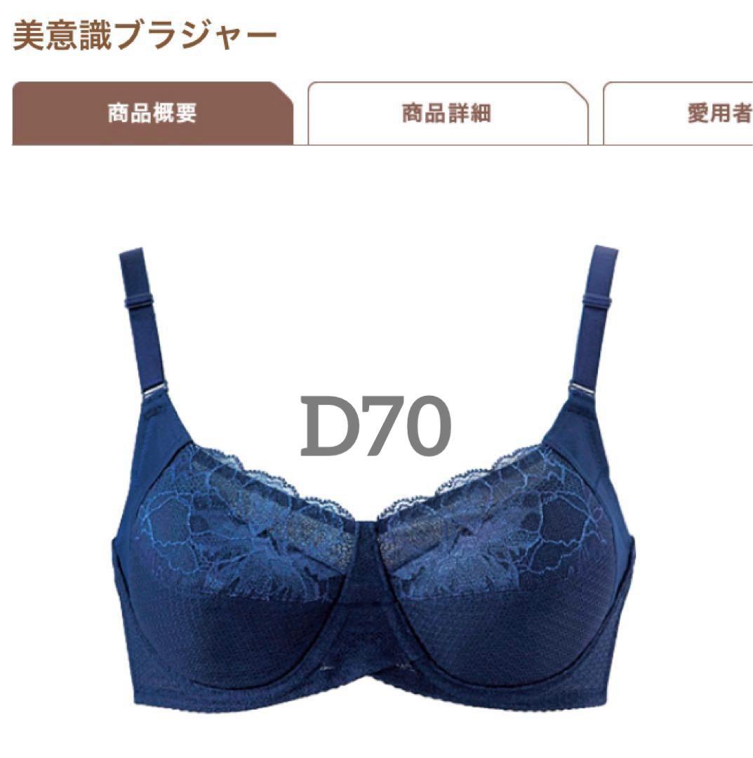 シャルレ＊美意識ブラジャー＊D70＊ネイビー、ピンク定価10560円
