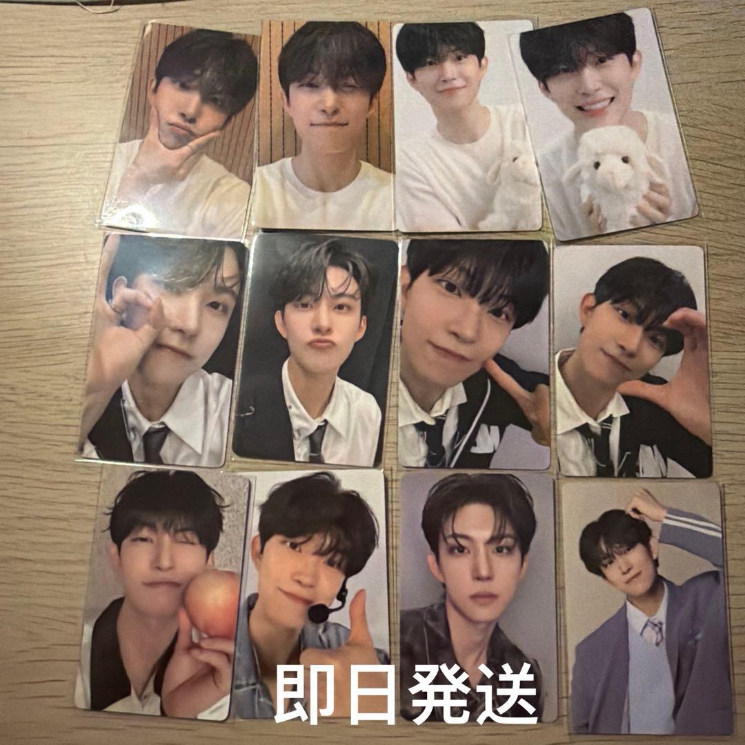 ボイプラ 上海 アーカイブ展 WEEK1 ゴヌ トレカ コンプ