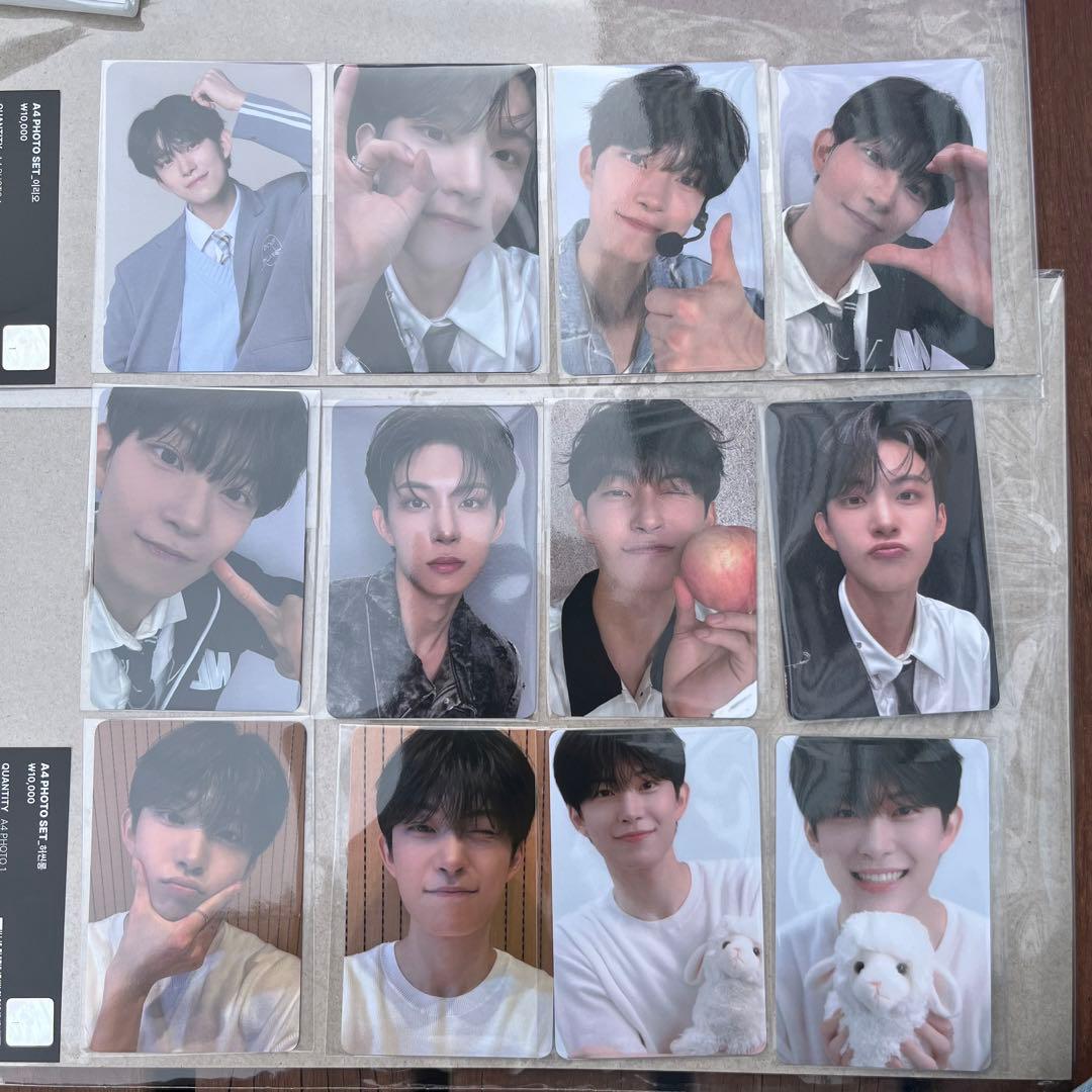 ボイプラ アーカイブ展 韓国 ゴヌ トレカ 12枚 コンプ