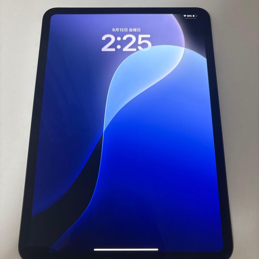 iPad Pro 11インチ 第5世代