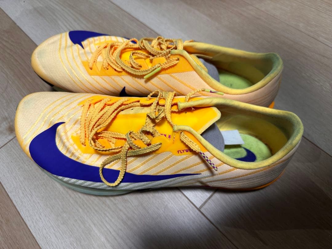 Nike MAXフライ2 28cm