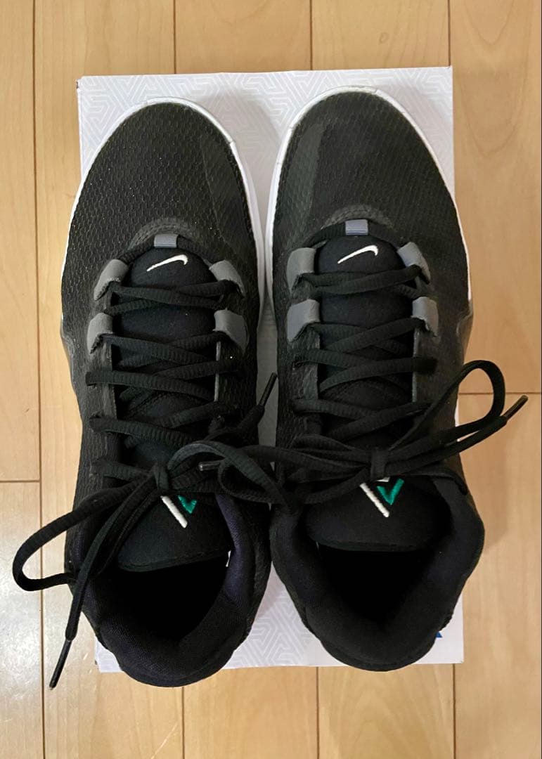 NIKE、ズームフリーク1、26センチ