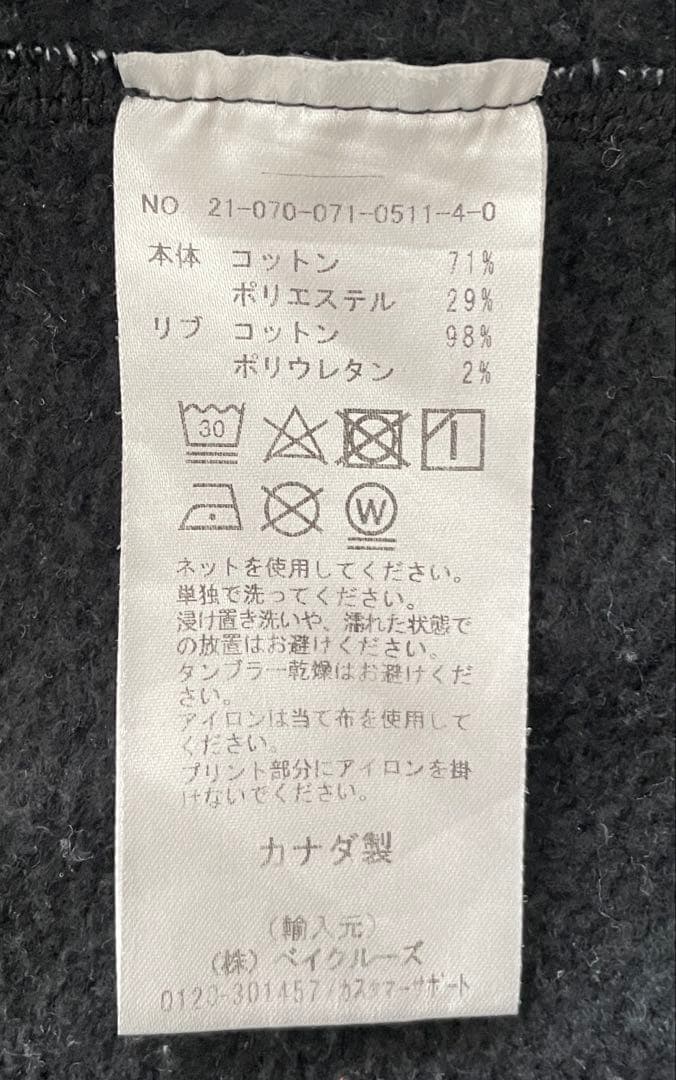 チャンボ様⭐︎レイニングチャンプ　タイガーフリース　ジップパーカー　s