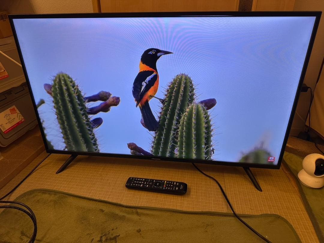 ハイセンス hisense 40型　テレビ 40H30E　2020年製　映り綺麗