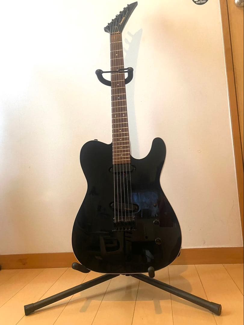 博*文様 【即購入歓迎】FERNANDES ギター