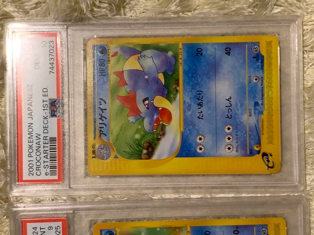 アリゲイツpsa10 オーダイルpsa9 eカード セット