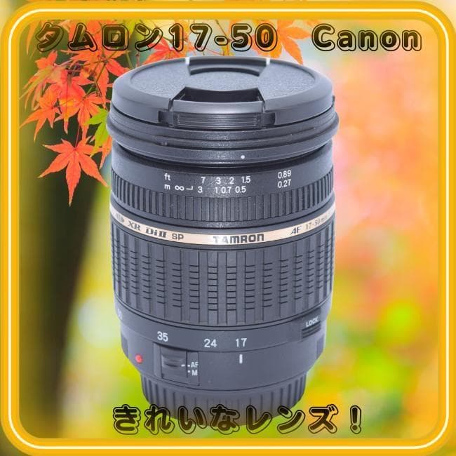 タムロン　Tamron SP 17-50mm F2.8 Di II
