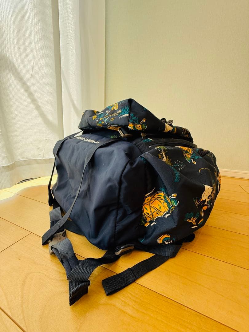 ノースフェイス THE NORTH FACE サニーキャンパー40＋6（キッズ）