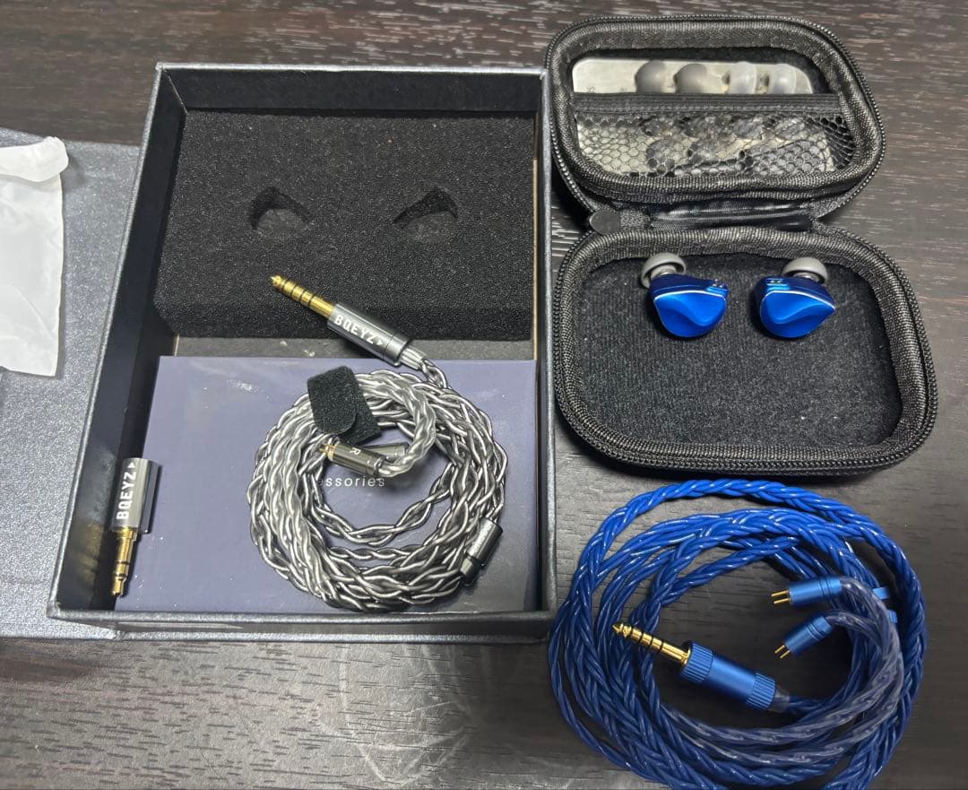 WINTER Ultra +おまけ4.4mmケーブル