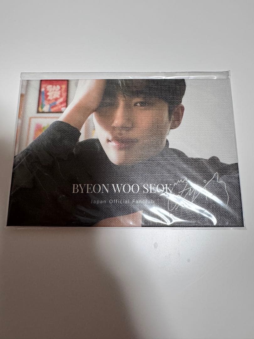 ビョンウソク　キャンパス風プリントフォトスタンド