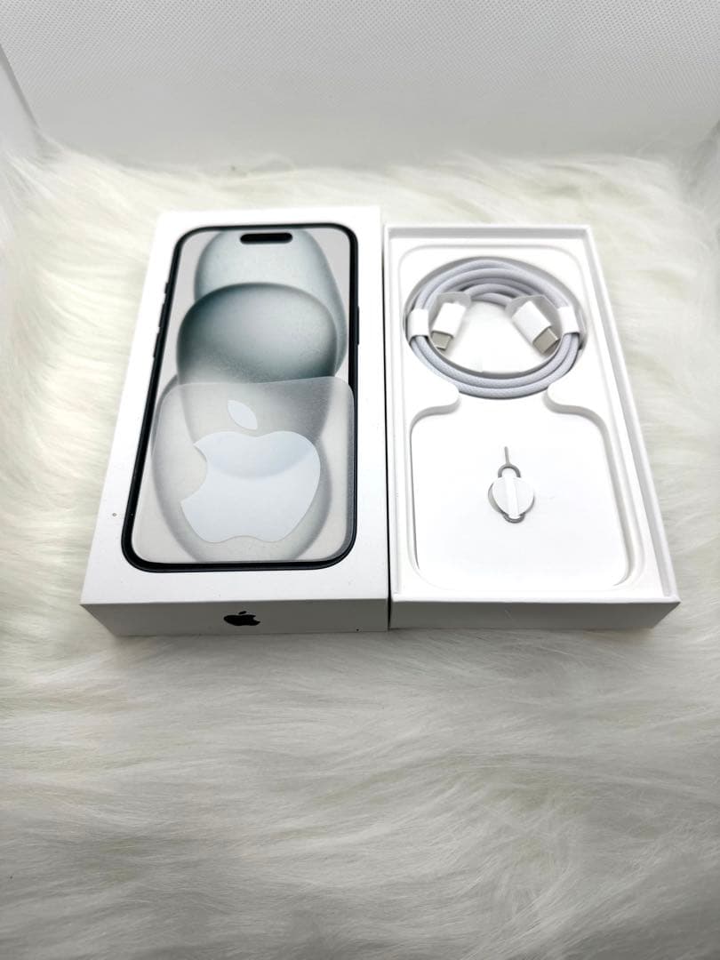 【美品】iPhone 15 128GB ブラック SIMフリー CASETiFY