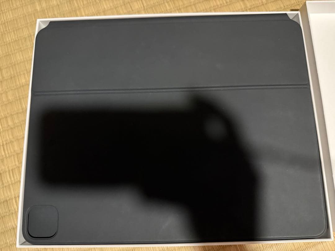 iPad Pro 12.9インチ（第5世代）256GB Wi-Fiモデル