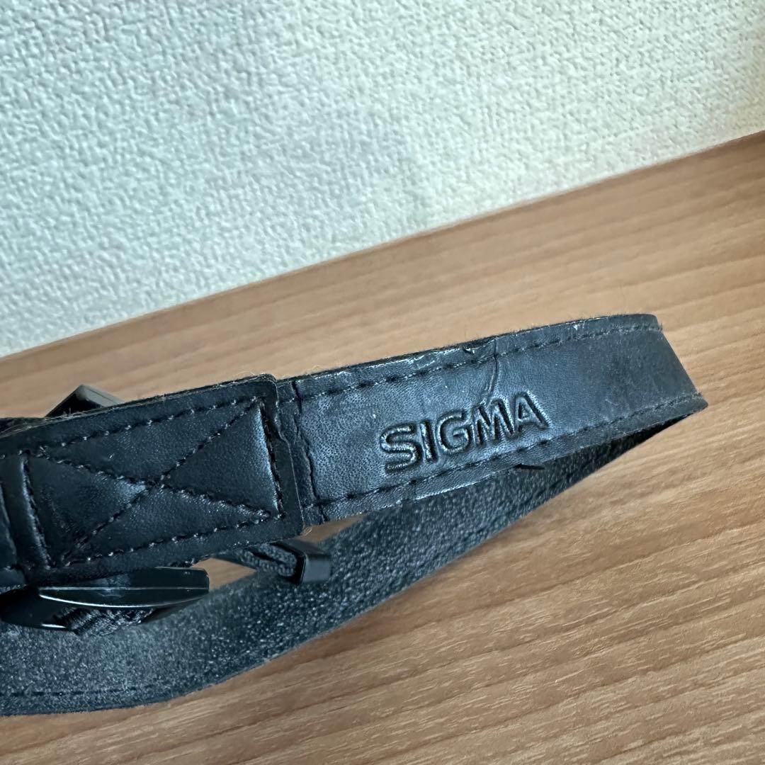 SIGMA DP2 MERRILL シグマ＋フラッシュ EF-140 DG付き