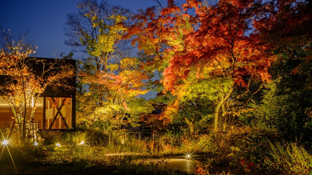 Voigtlander Ultron 27mm f2 Xマウント 新品同様