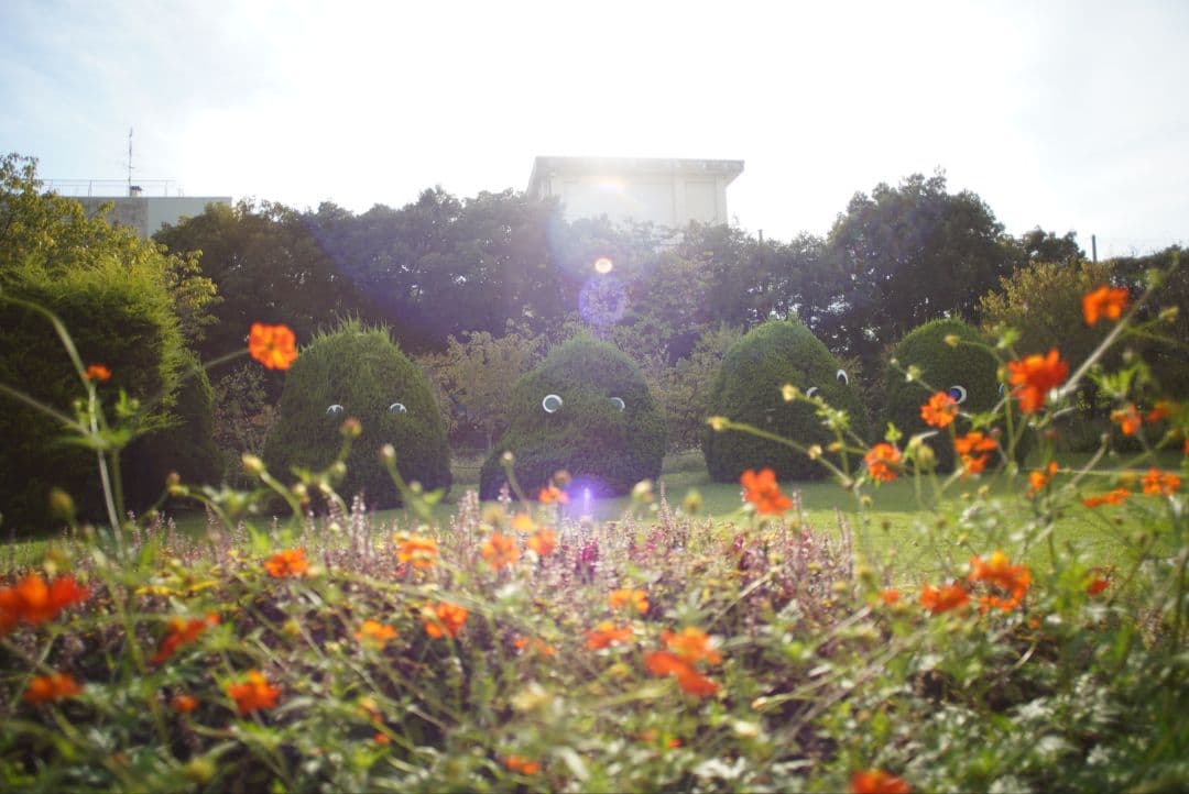 【動作確認済】CANON New FD 24mm f2.8 初期保証付き