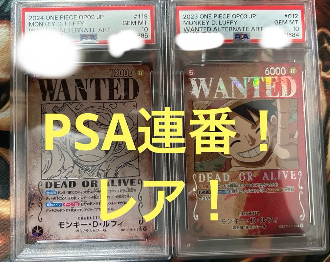 ニカ手配書、ルフィ手配書PSA10連番