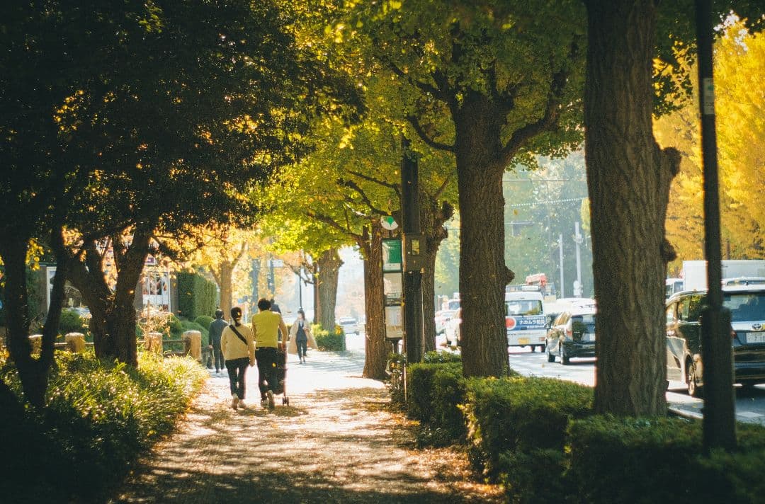 ZEISS Touit 1.8/32 レンズ Xマウント