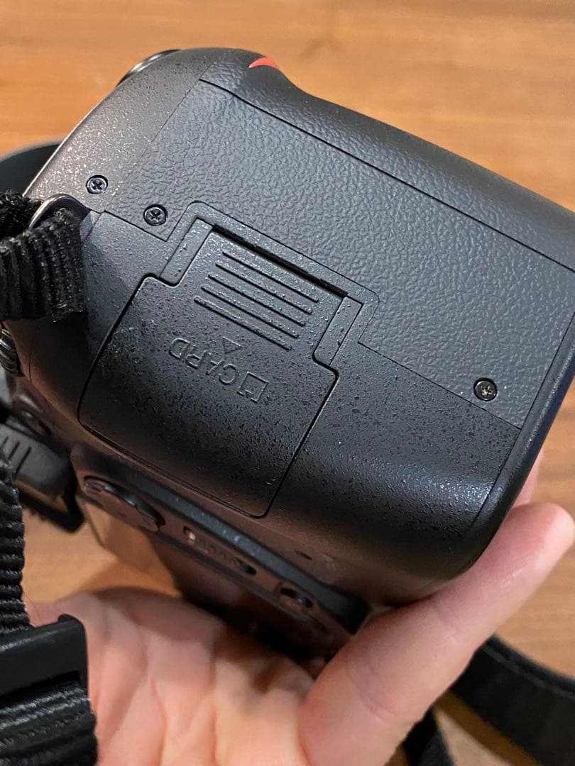 Nikon D80 デジタル一眼 AF NIKKOR 70-300 5078枚