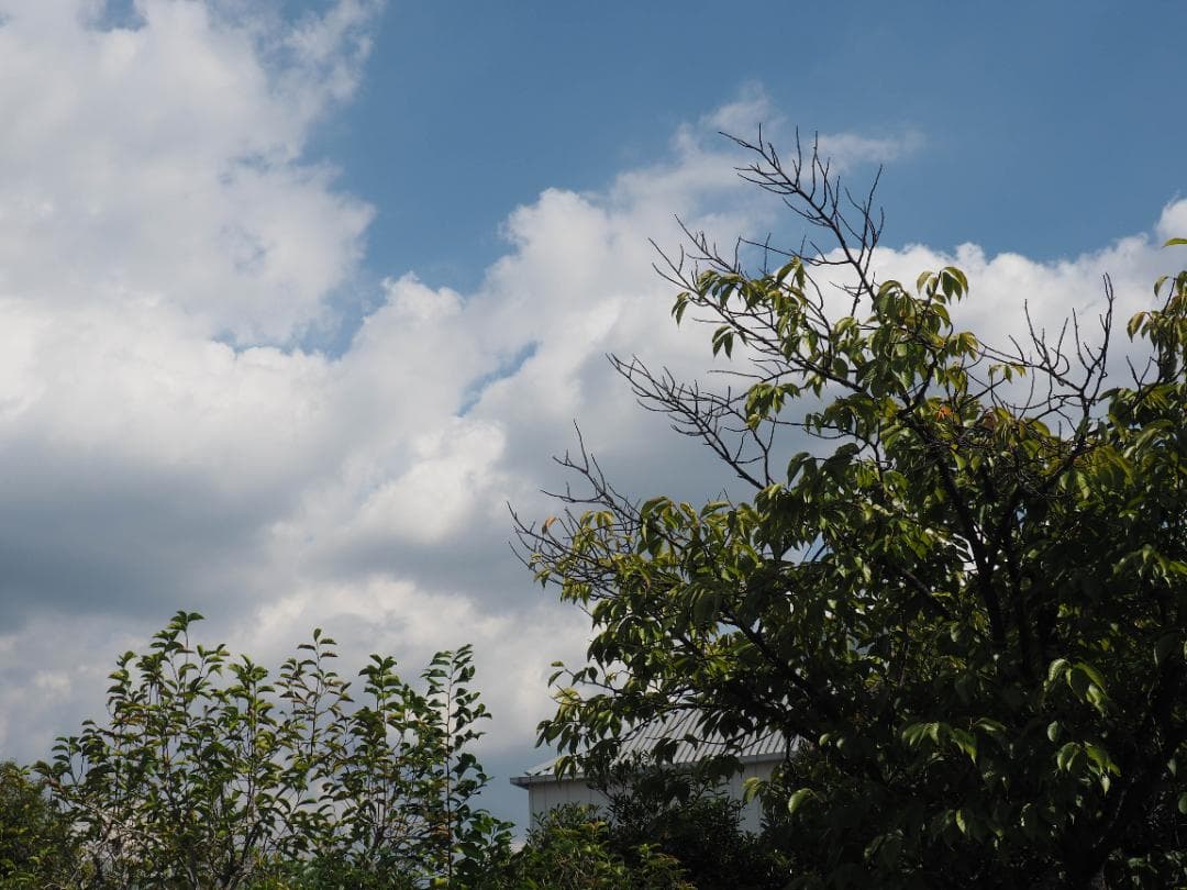 OLYMPUS OM-D E-M10 ダブルレンズキット スマホ転送OK